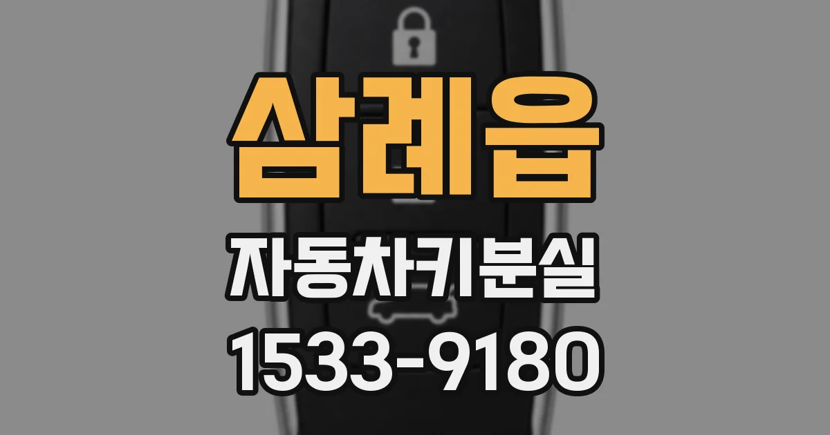 삼례읍 자동차키분실