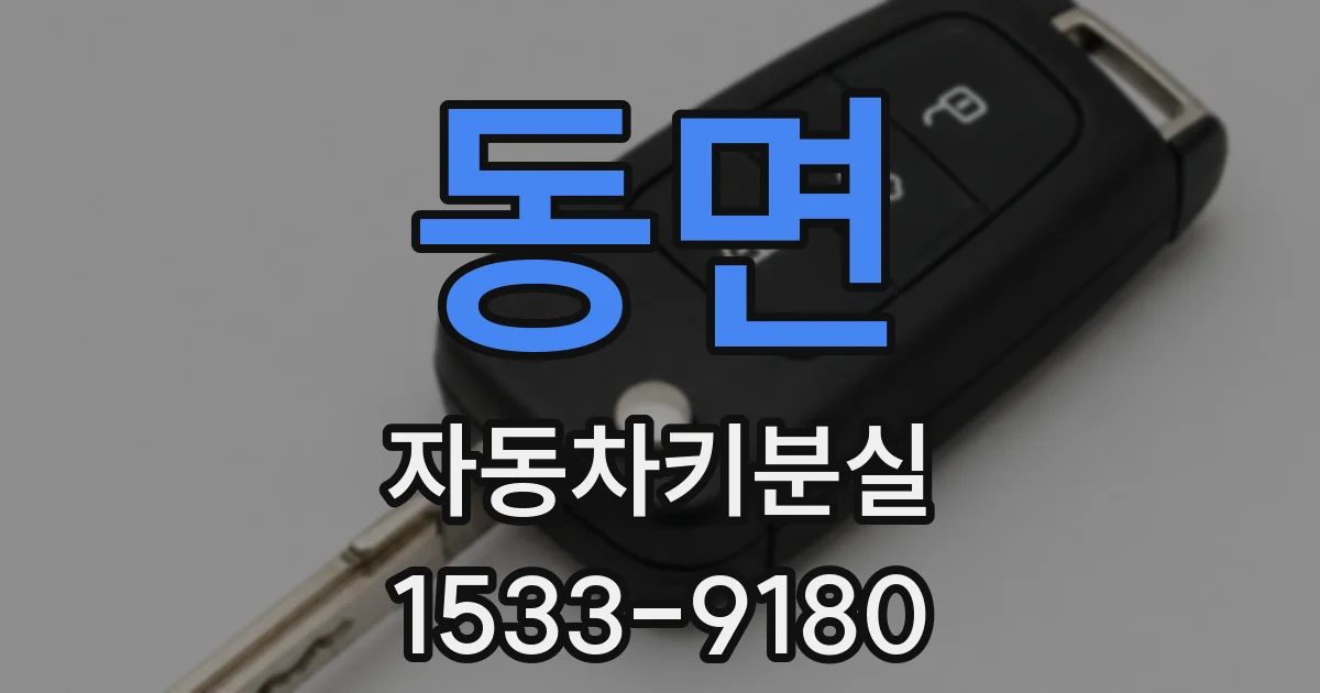동면 자동차키분실