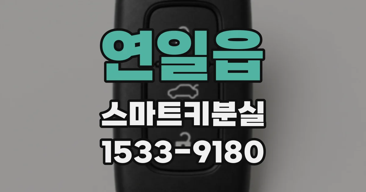 연일읍 스마트키분실