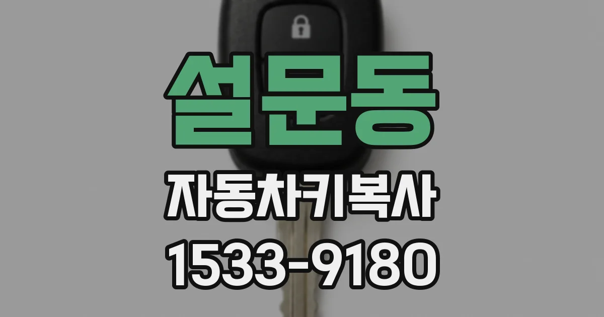 설문동 자동차키복사