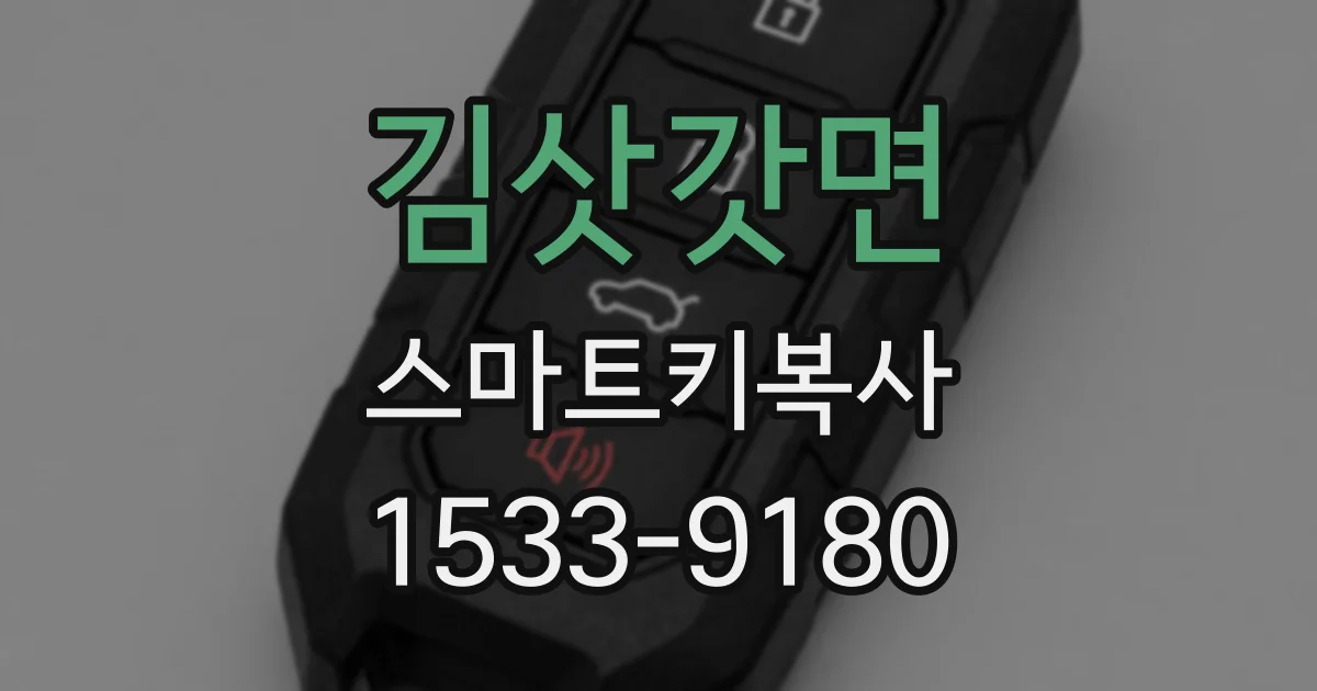 김삿갓면 스마트키복사