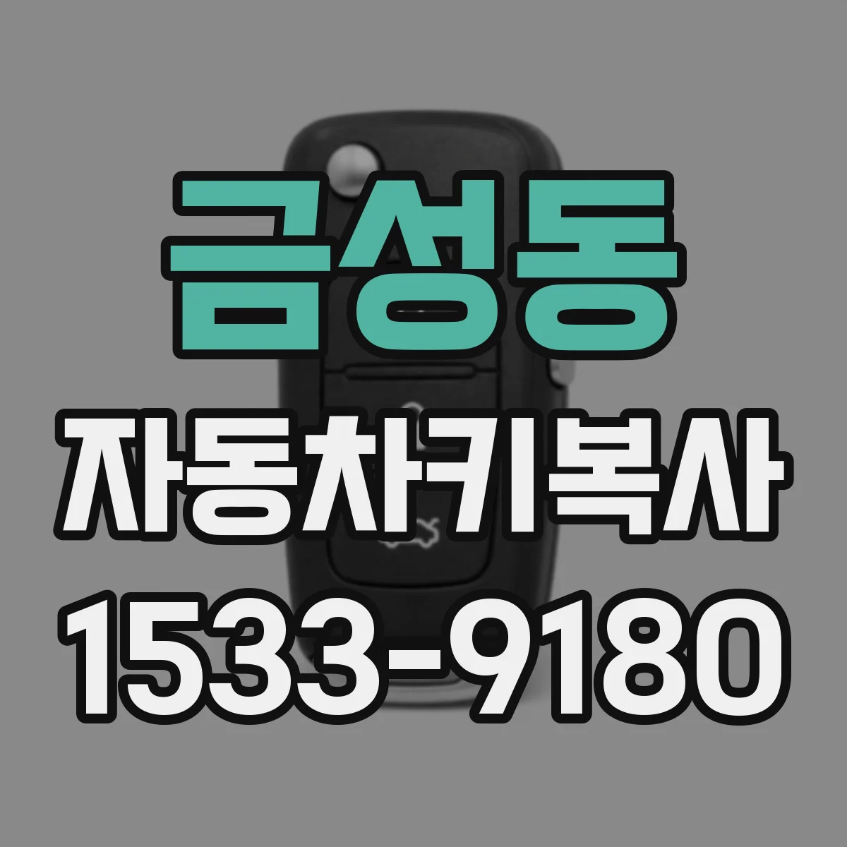 금성동 자동차키복사