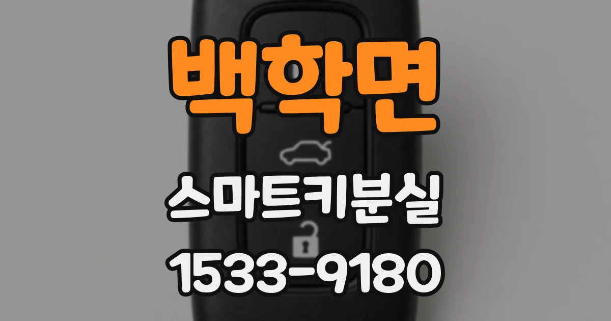 백학면 스마트키분실