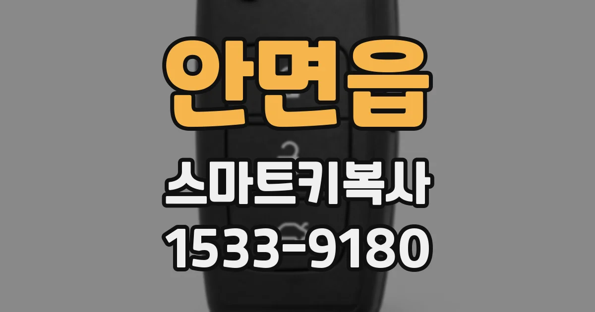 안면읍 스마트키복사