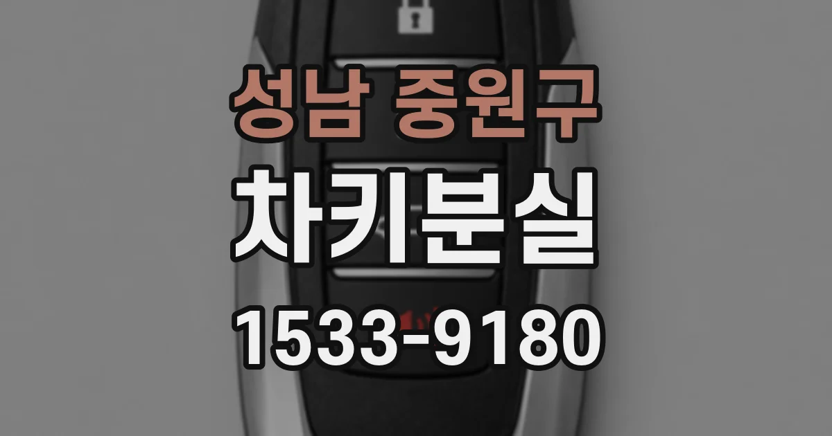 성남 중원구 차키분실