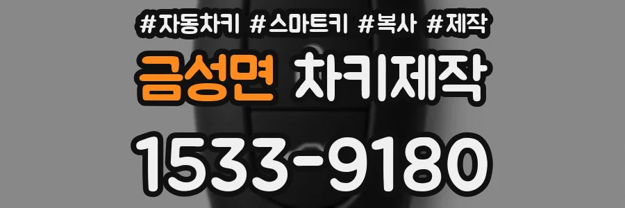 금성면 차키제작