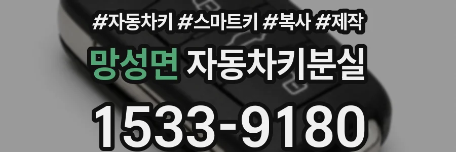 망성면 자동차키분실