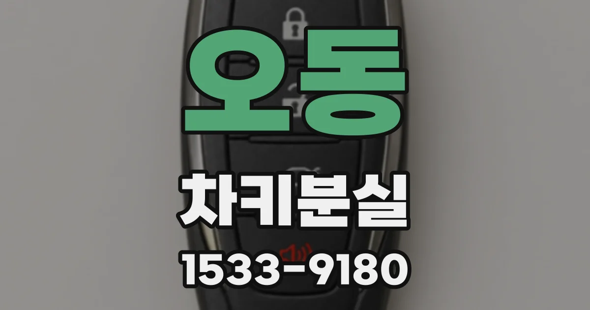 오동 차키분실