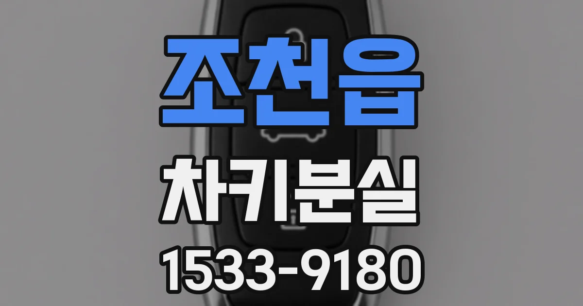 조천읍 차키분실