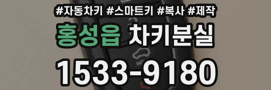 홍성읍 차키분실