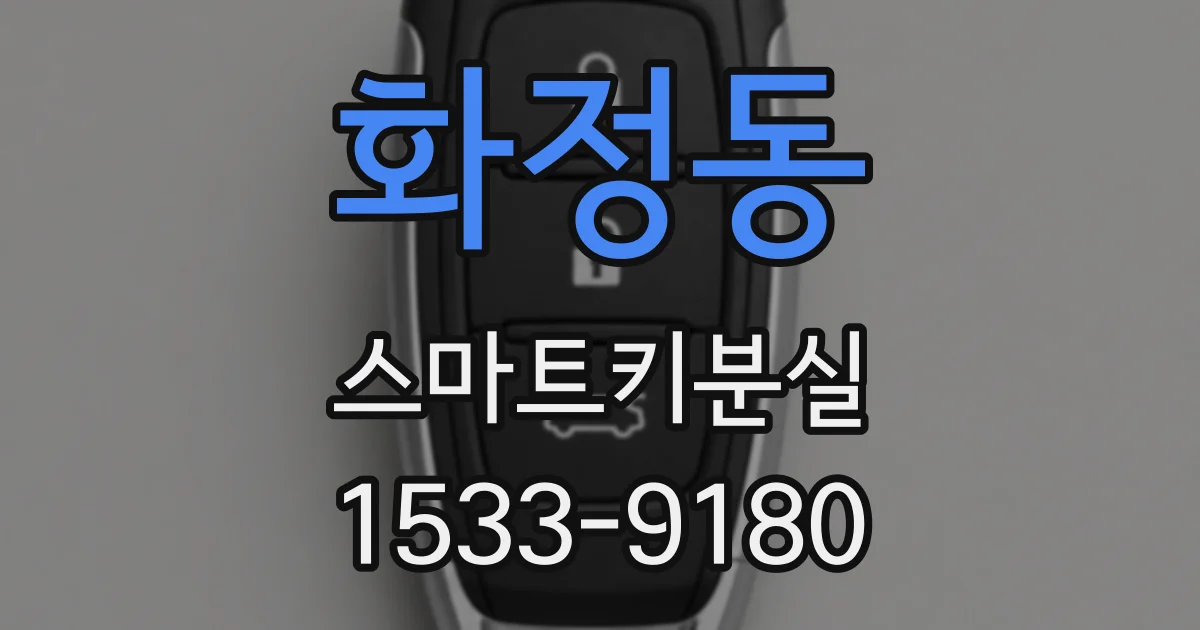 화정동 스마트키분실