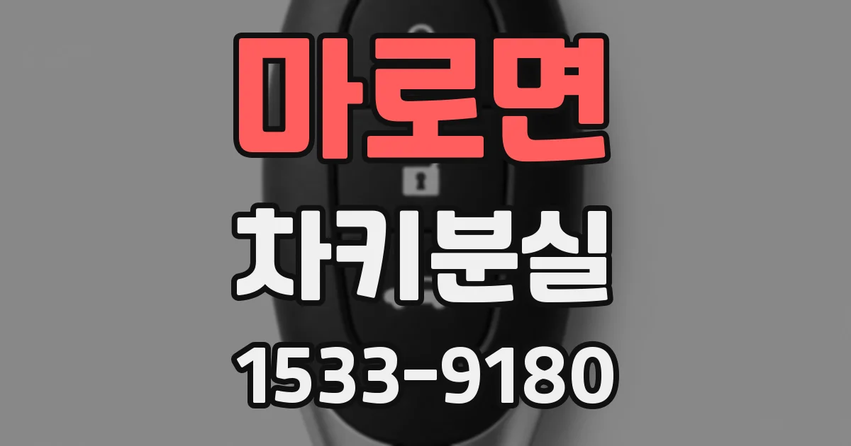 마로면 차키분실