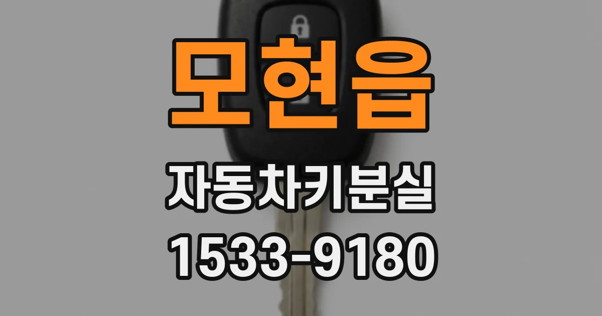 모현읍 자동차키분실