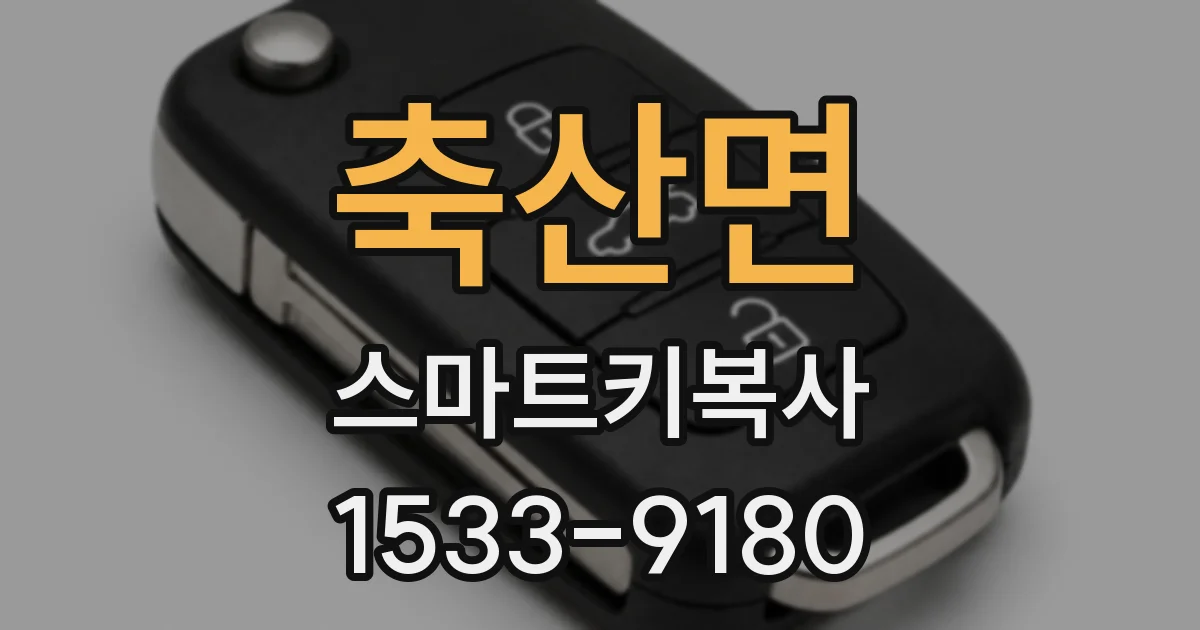 축산면 스마트키복사