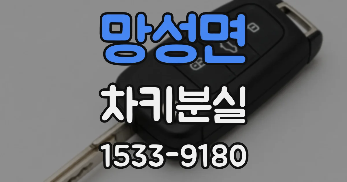 망성면 차키분실