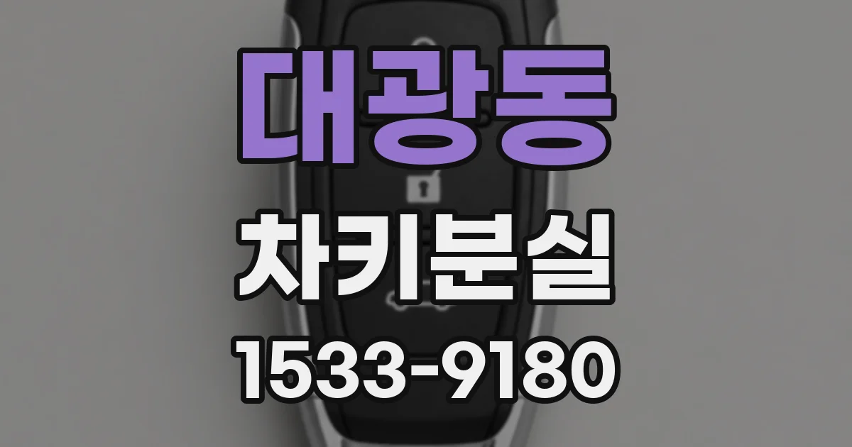 대광동 차키분실