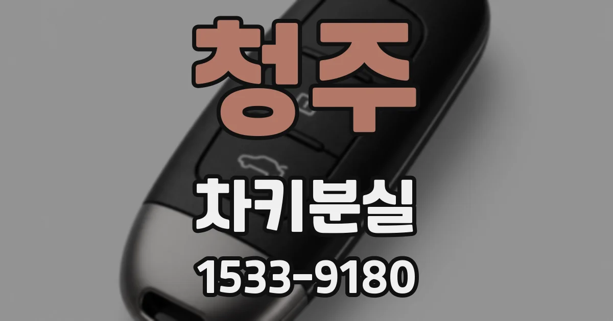 청주 차키분실