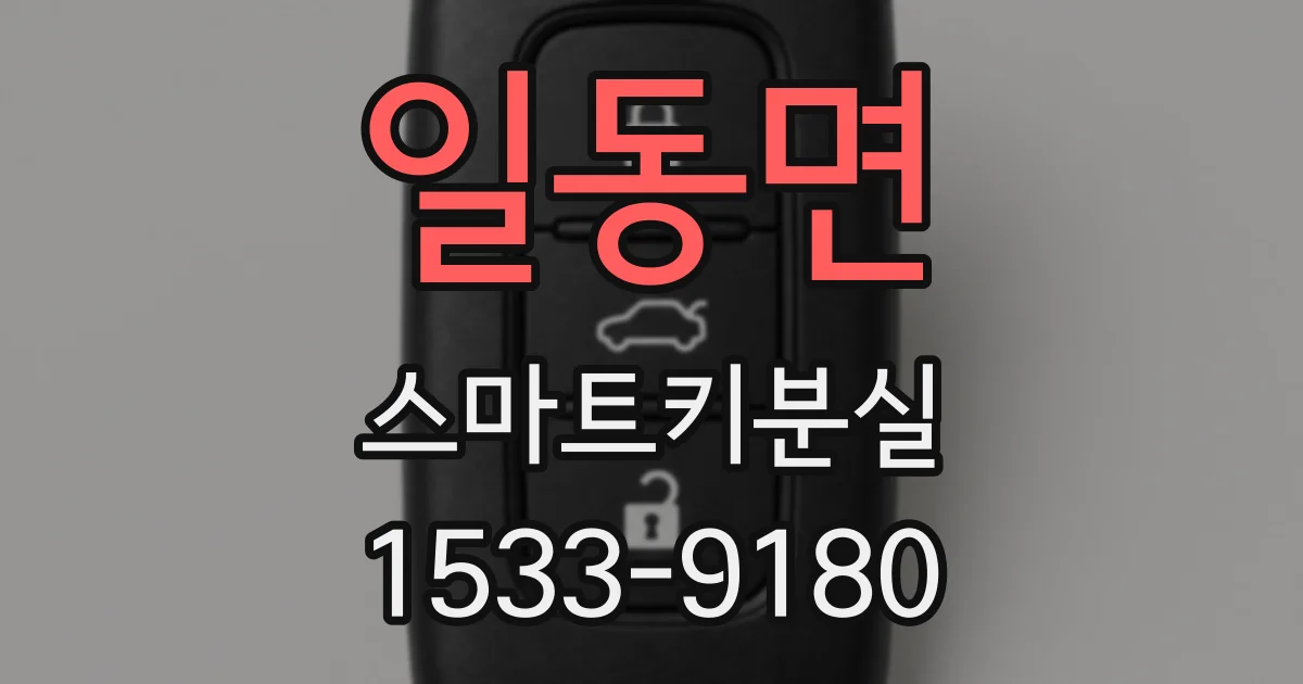 일동면 스마트키분실