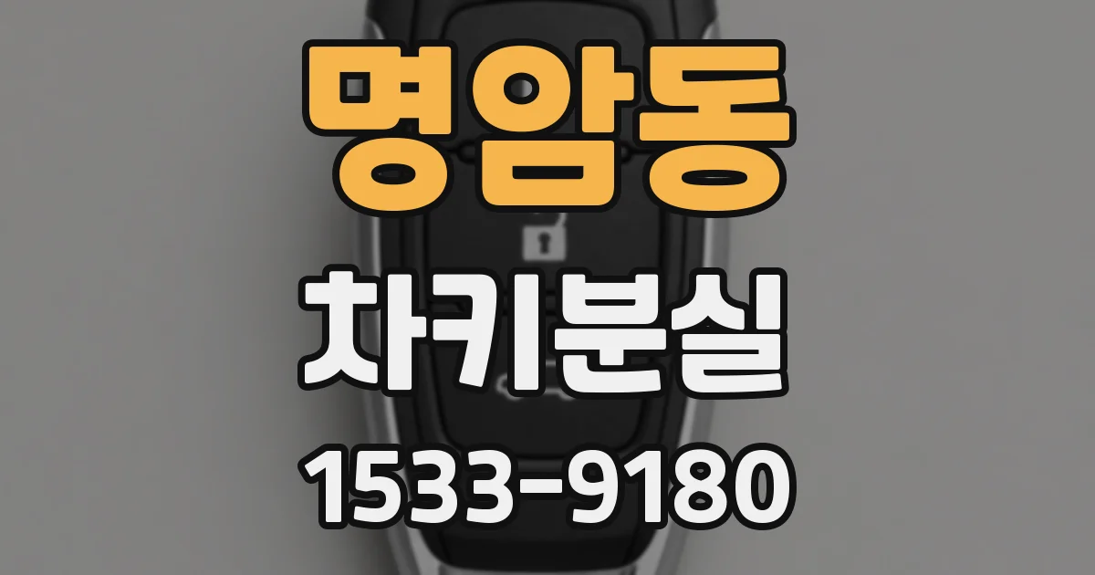 명암동 차키분실
