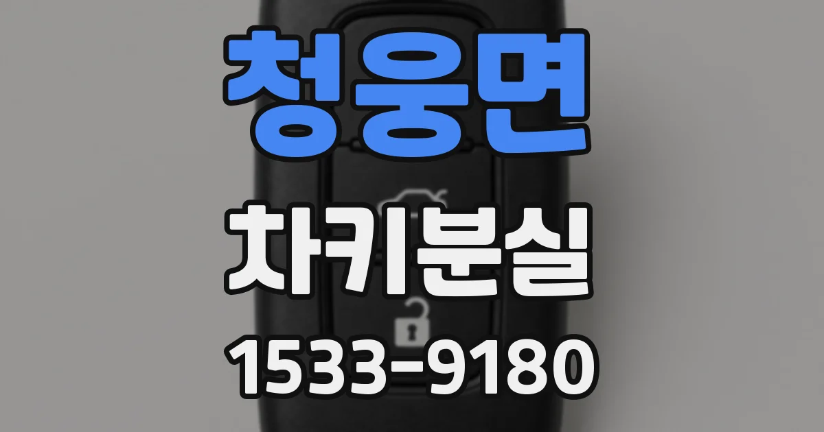 청웅면 차키분실