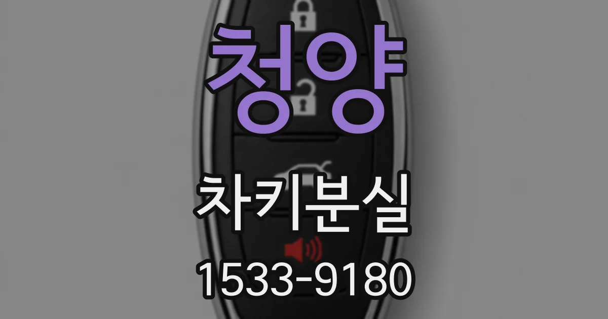 청양 차키분실