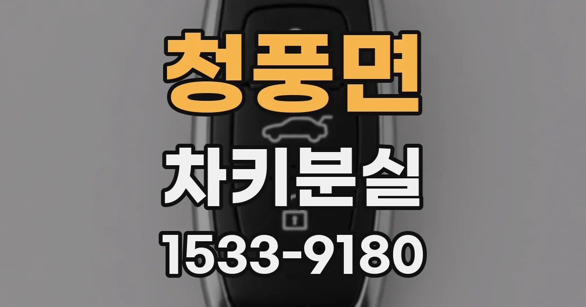 청풍면 차키분실
