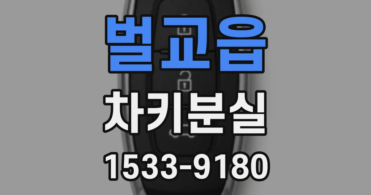 벌교읍 차키분실