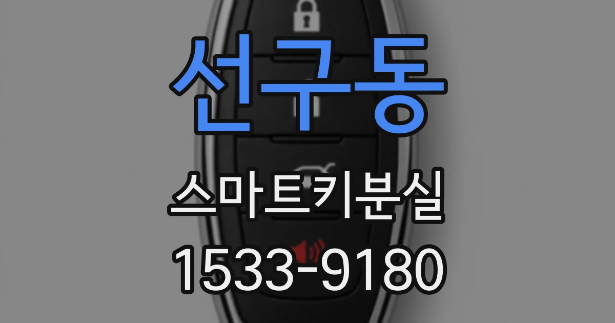 선구동 스마트키분실