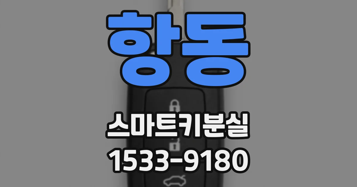 항동 스마트키분실