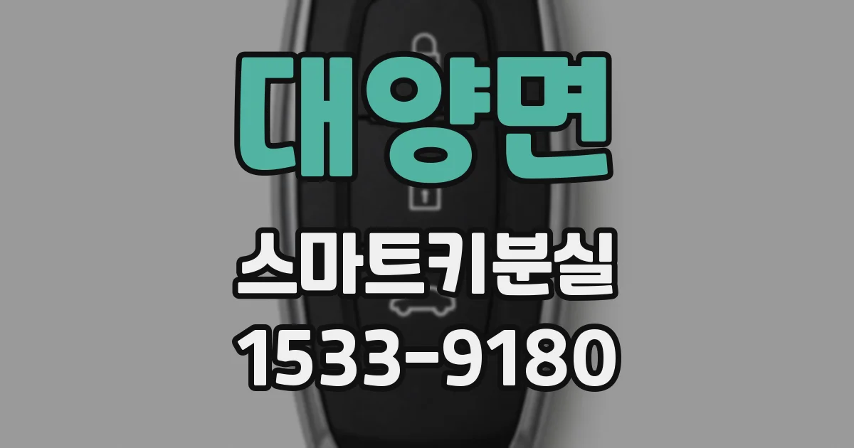 대양면 스마트키분실
