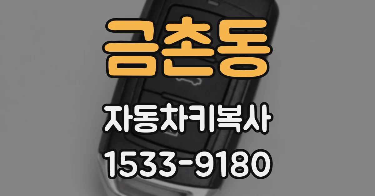 금촌동 자동차키복사