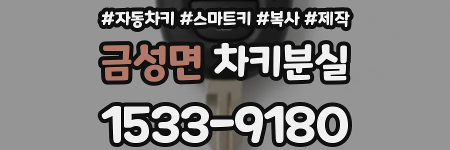 금성면 차키분실