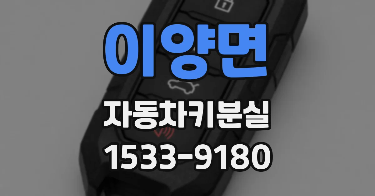 이양면 자동차키분실