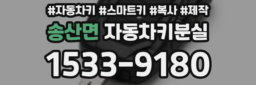 송산면 자동차키분실