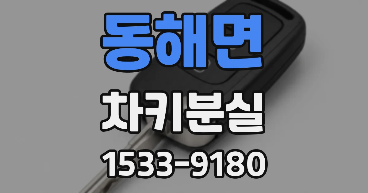 동해면 차키분실