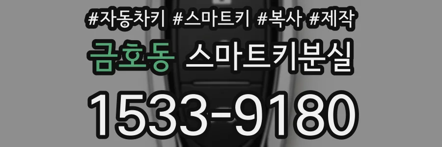 금호동 스마트키분실
