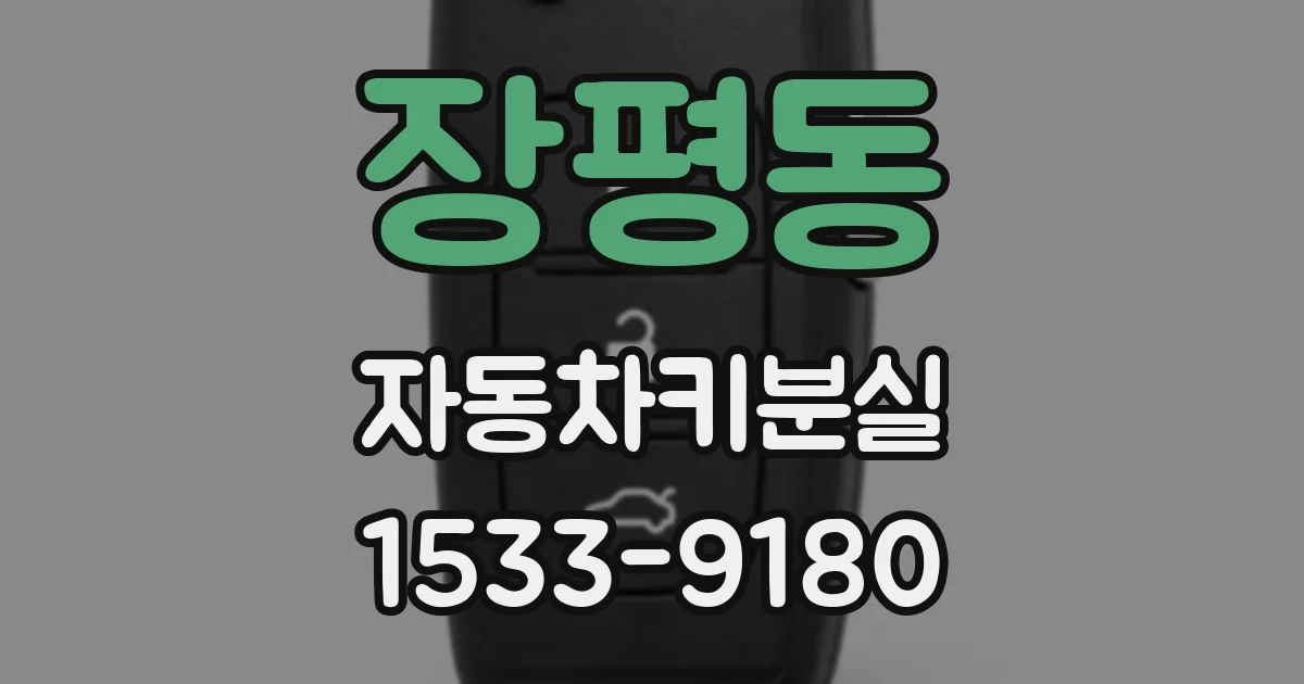 장평동 자동차키분실