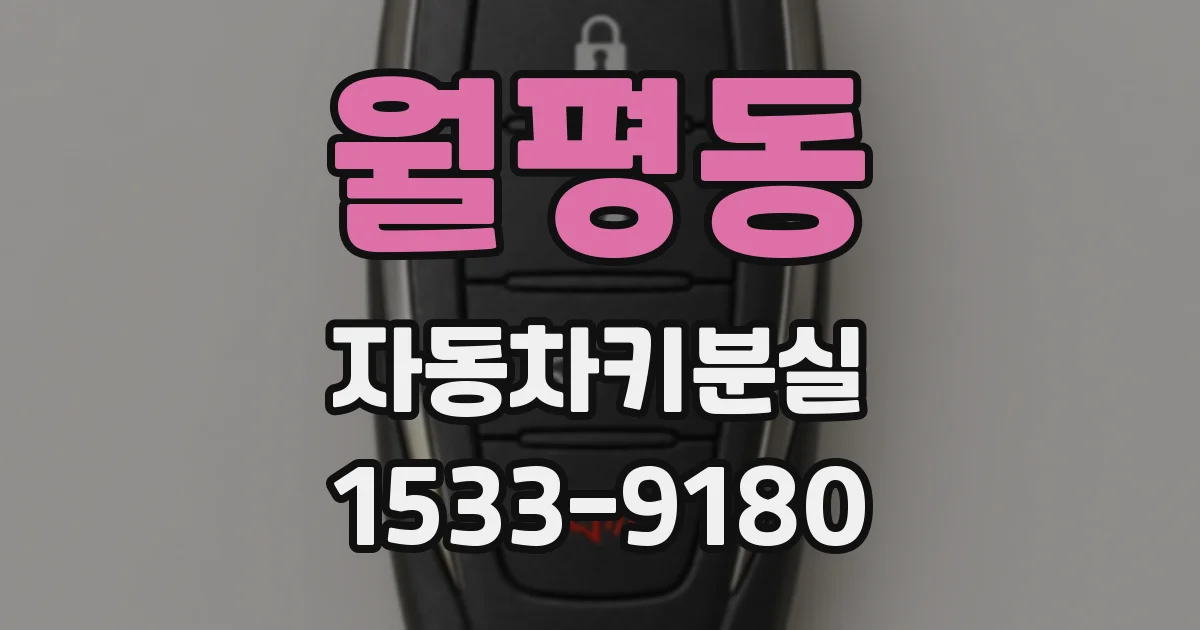 월평동 자동차키분실