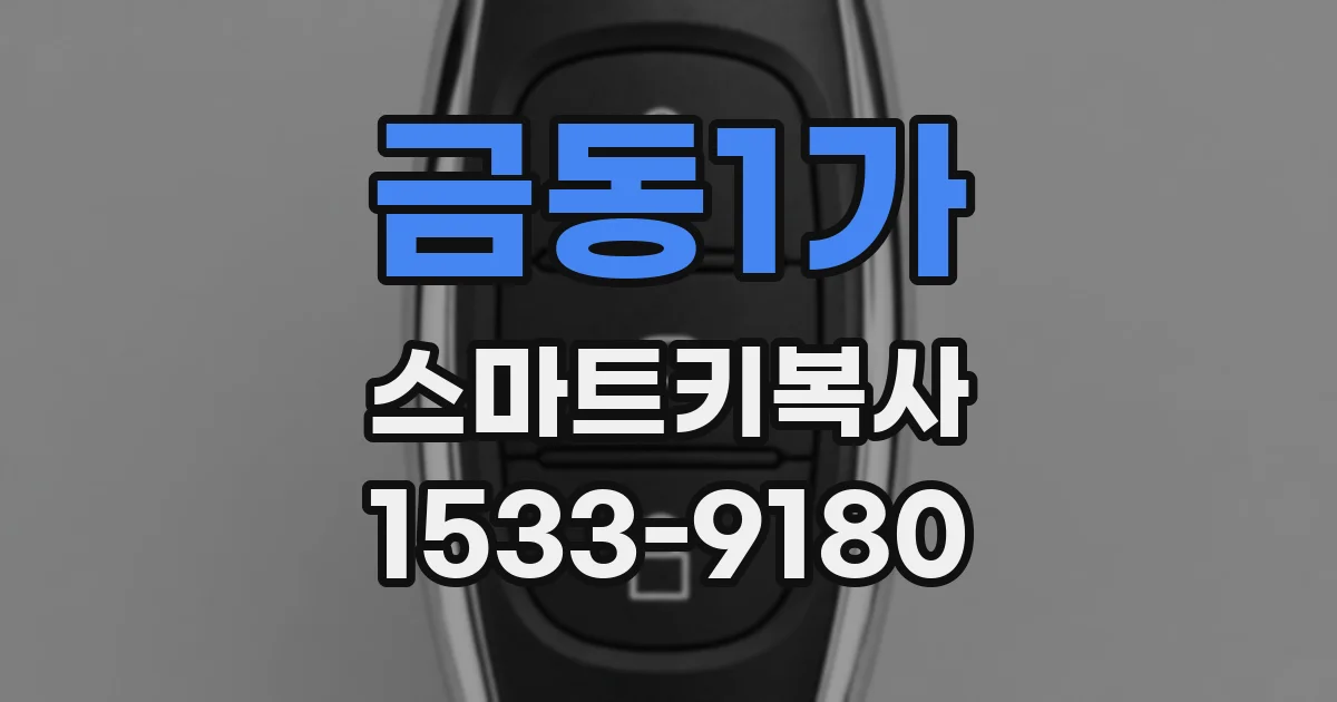 금동1가 스마트키복사