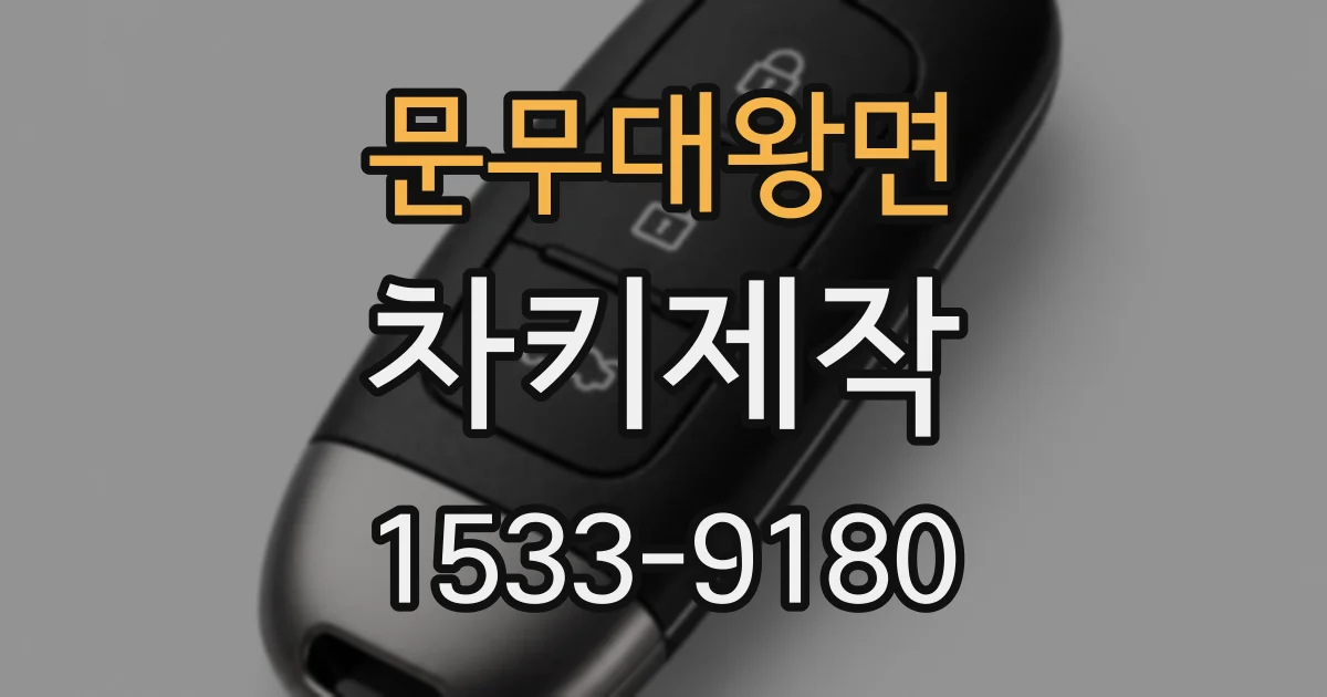 문무대왕면 차키제작