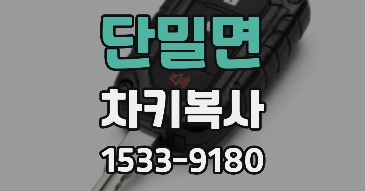 단밀면 차키복사