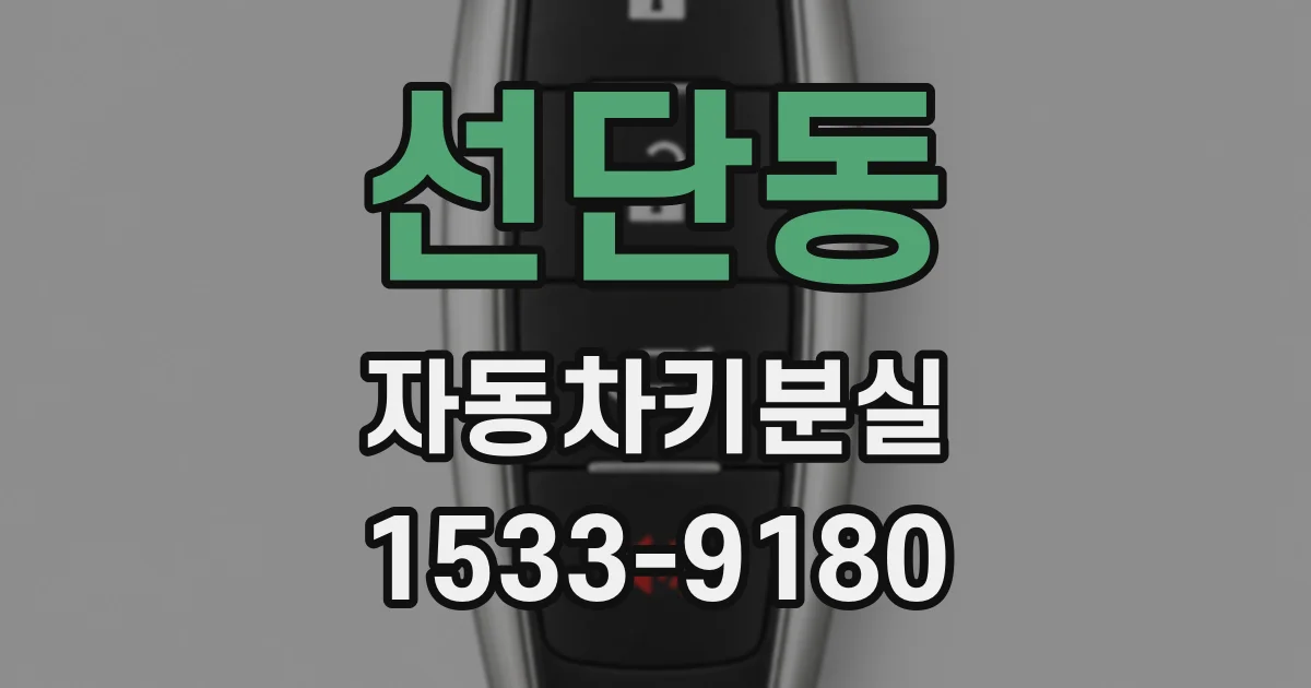 선단동 자동차키분실
