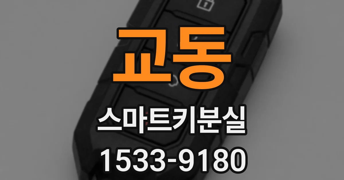 교동 스마트키분실