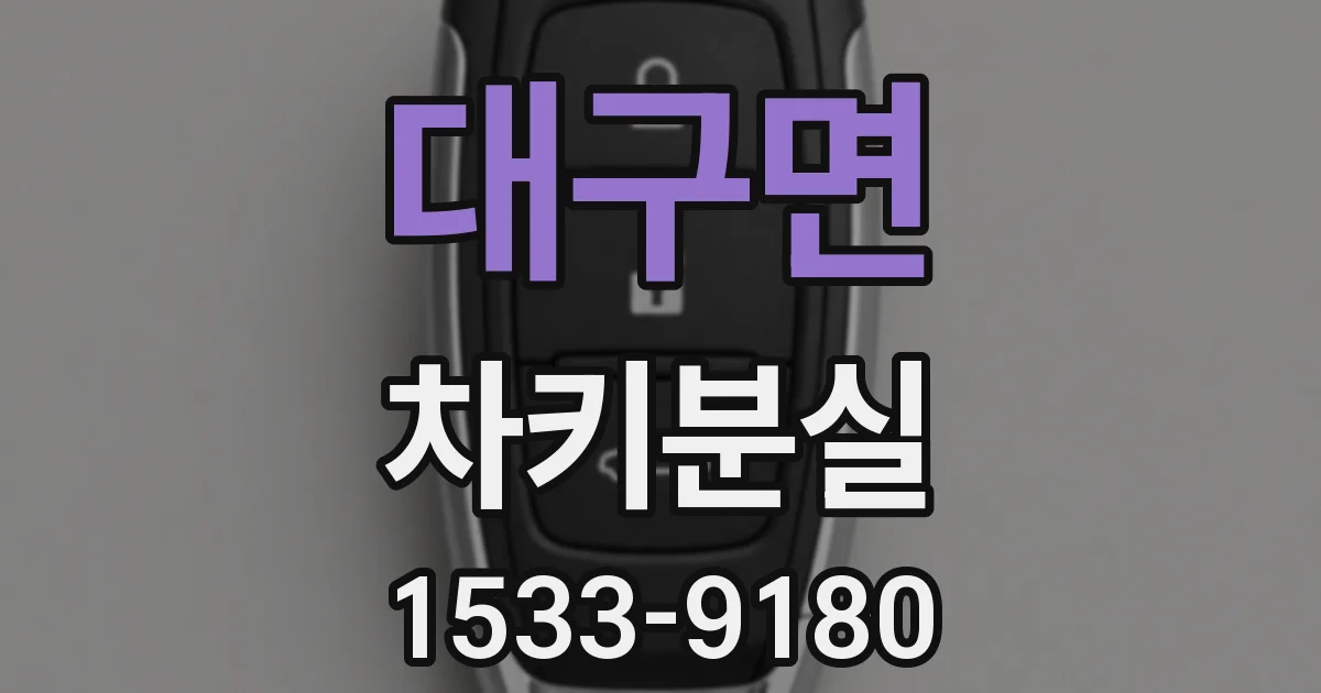 대구면 차키분실
