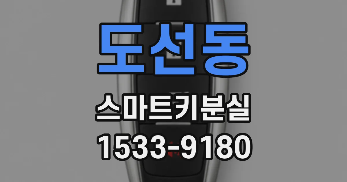 도선동 스마트키분실