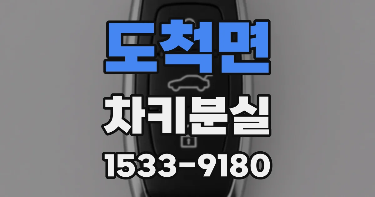 도척면 차키분실
