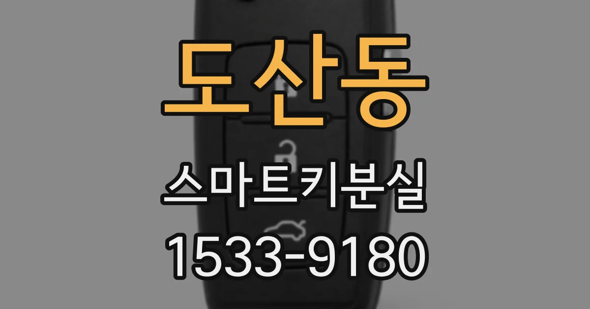 도산동 스마트키분실