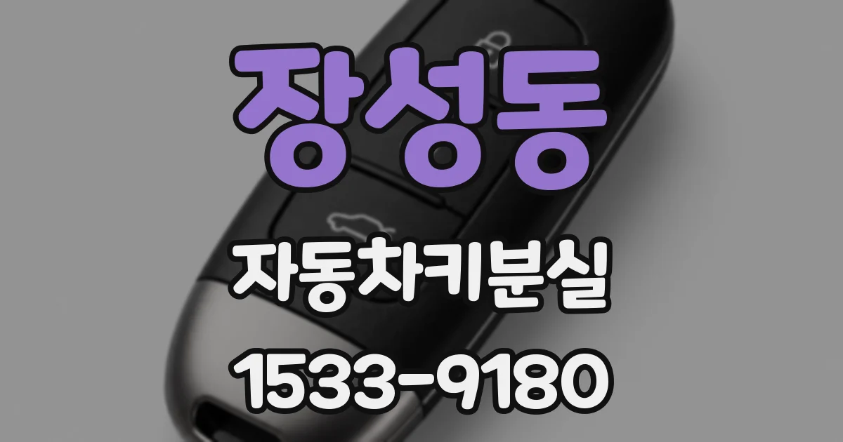 장성동 자동차키분실
