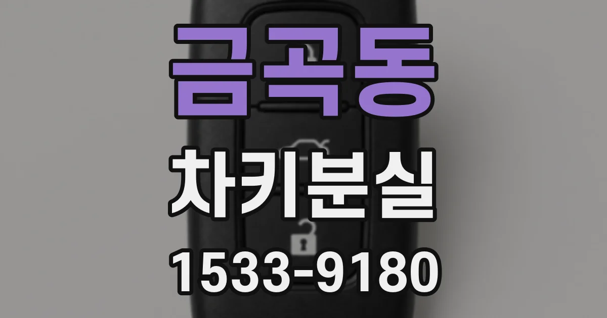 금곡동 차키분실