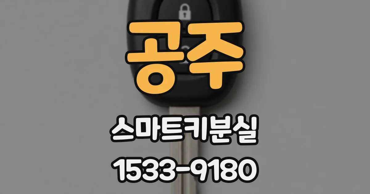 공주 스마트키분실